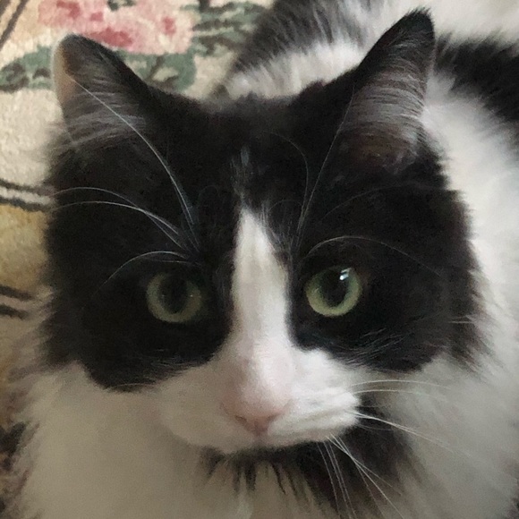 BUNDLES 2+ 15% OFF OR MORE! - Picture 1 of 3